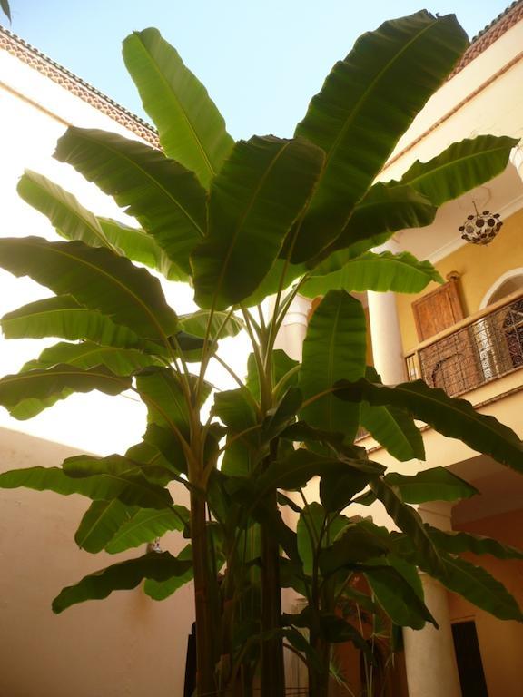 Riad Ker Saada Marrakesh Exterior photo